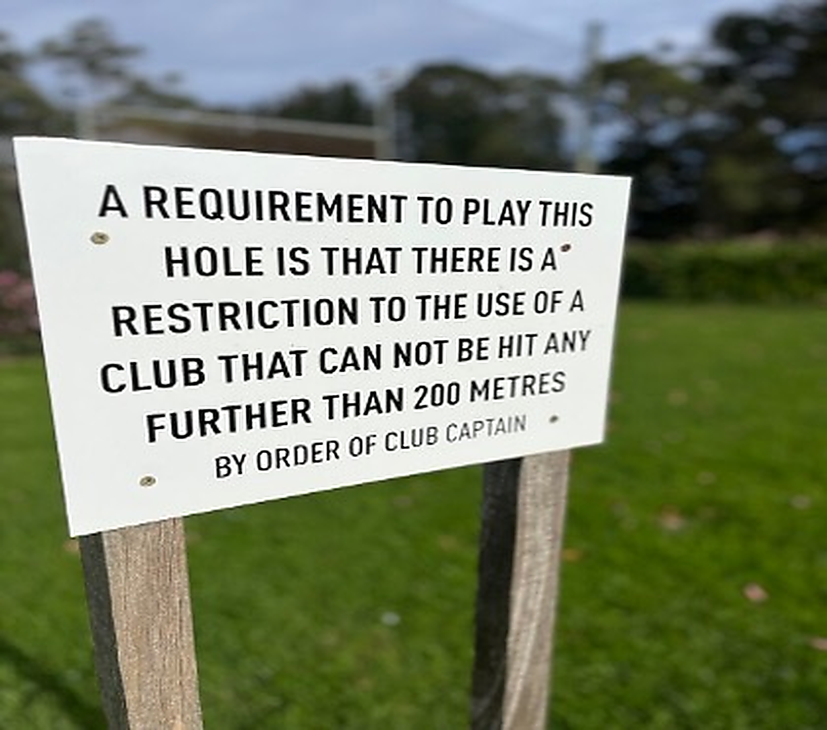 plain english writing